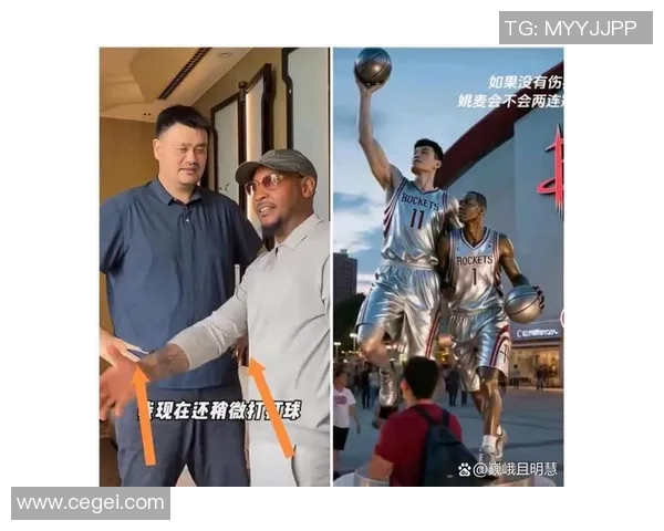 姚明冷数据揭示篮球巨星背后的真实表现与职业生涯的深度分析