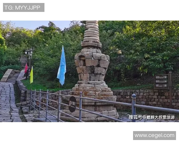 姚明携家人畅游度假胜地享受悠闲时光与自然亲密接触