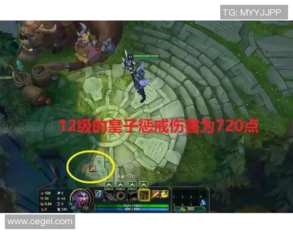 职业联赛分析：RNG选手个人能力的全面评估与表现探讨