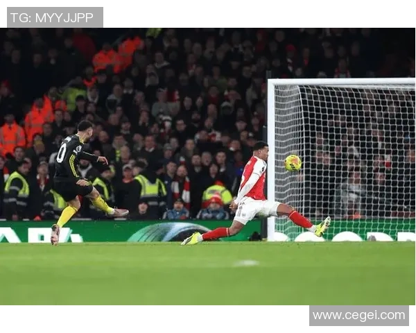 世界杯激战阿森纳与里昂平局点球大战成全场焦点瞬间