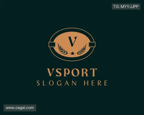 关于vsport